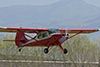 FLA3_Visiting_Aeronca_Sedan_15AC-by-Tom-Reeves.t.jpg